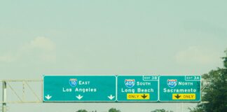 Mały pies w samolocie: wymiary transportera i zasady przewozu Drogowskazy do Los Angeles,