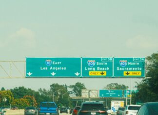 Mały pies w samolocie: wymiary transportera i zasady przewozu Drogowskazy do Los Angeles,